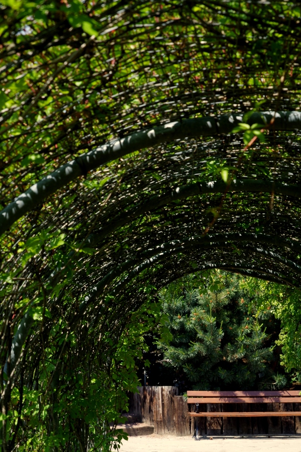 Ogrody Kapias Goczałkowice - Roślinny tunel