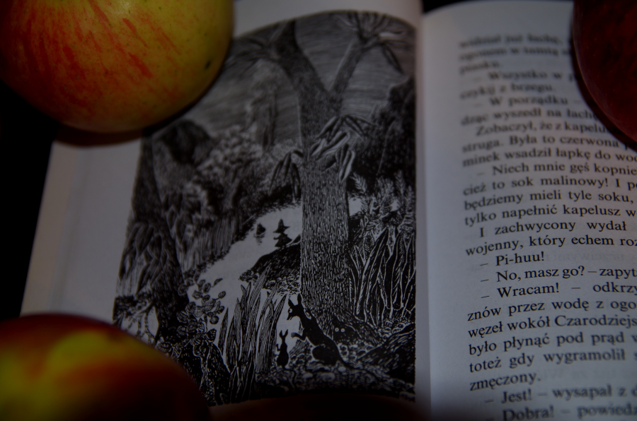 W Dolinie Munków - Tove Janssen - Okładka książki - wnętrze
