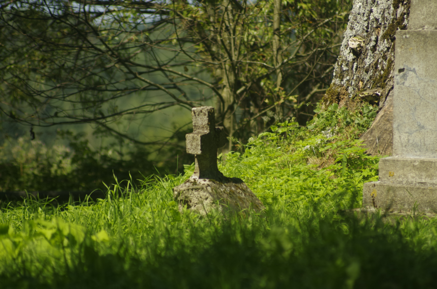 Bieszczadzkie cmentarze - kamienny krzyż w zieleni