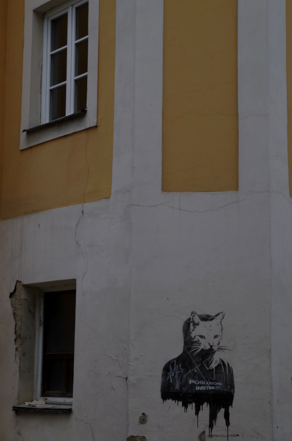 Hradec Králové - Czechy - koci mural