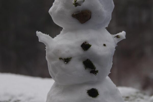 Dziecięce mądrości #70 zimowo i emerytalnie