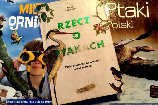 Rzecz o ptakach - okładka książki