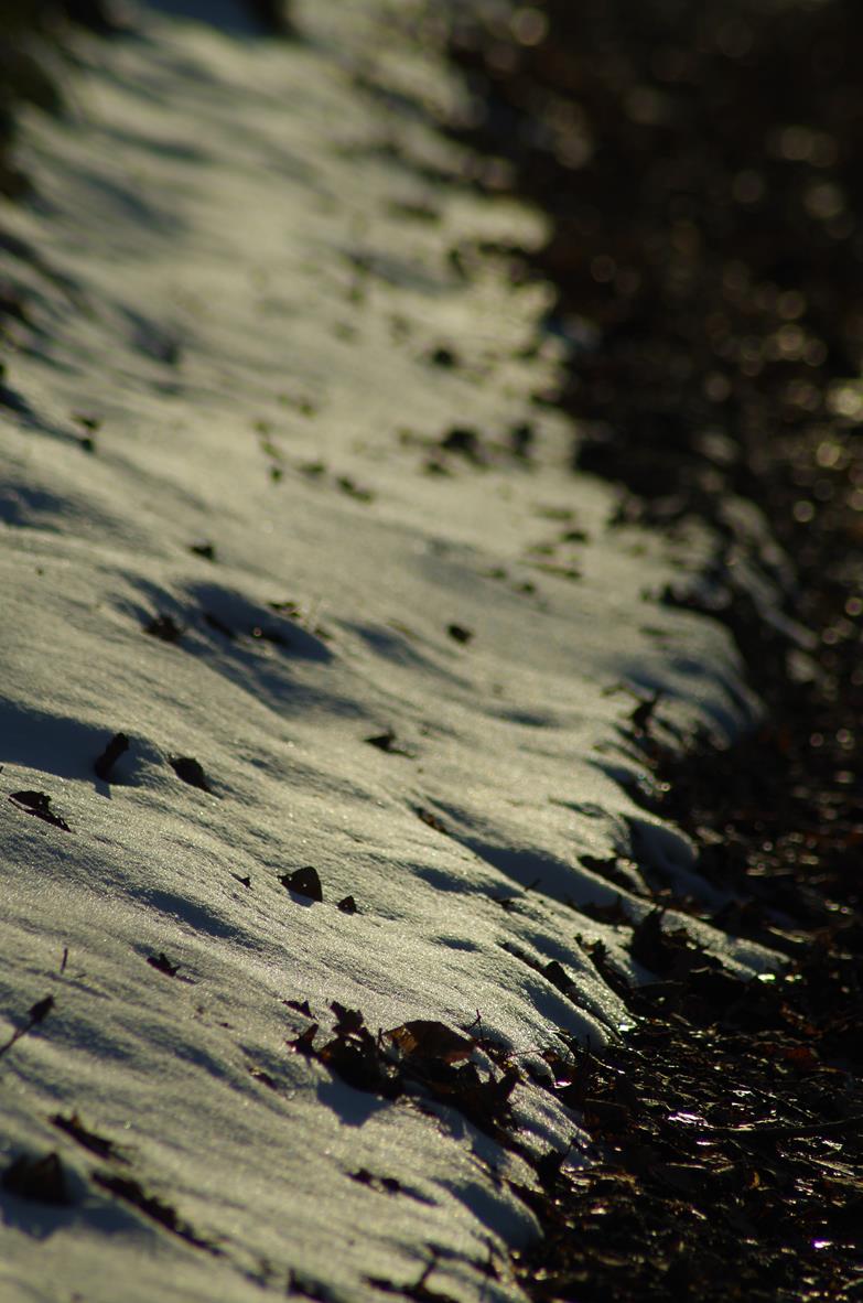 Od dziecięcy strach i wiosna