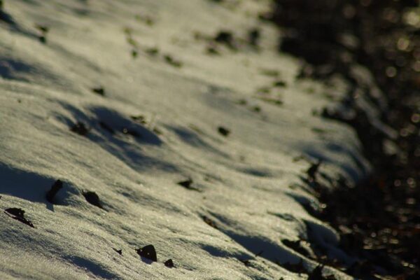 Od dziecięcy strach i wiosna